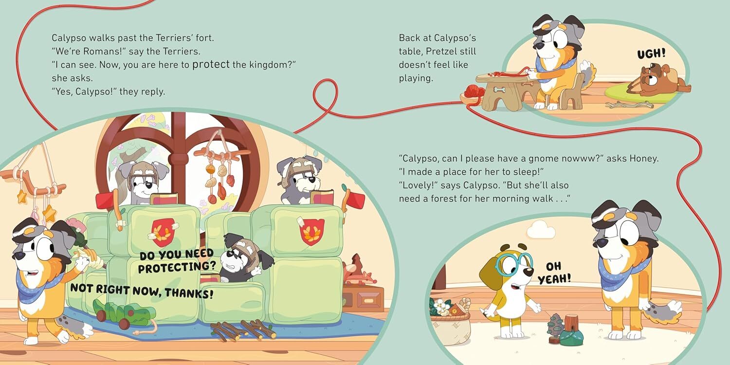 03_Ladybird Bluey Calypso