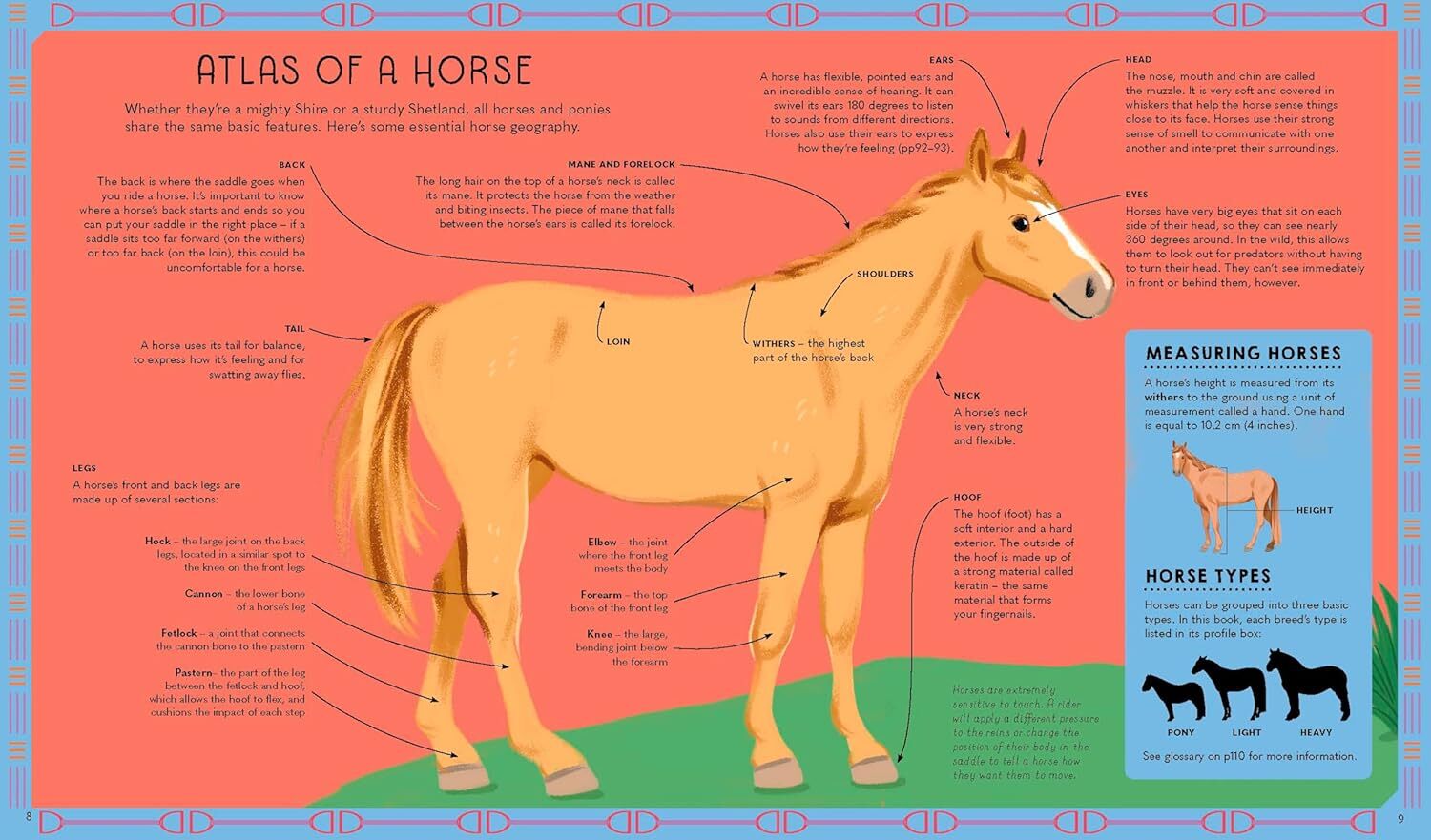 04_Atlas of Horses and Ponies