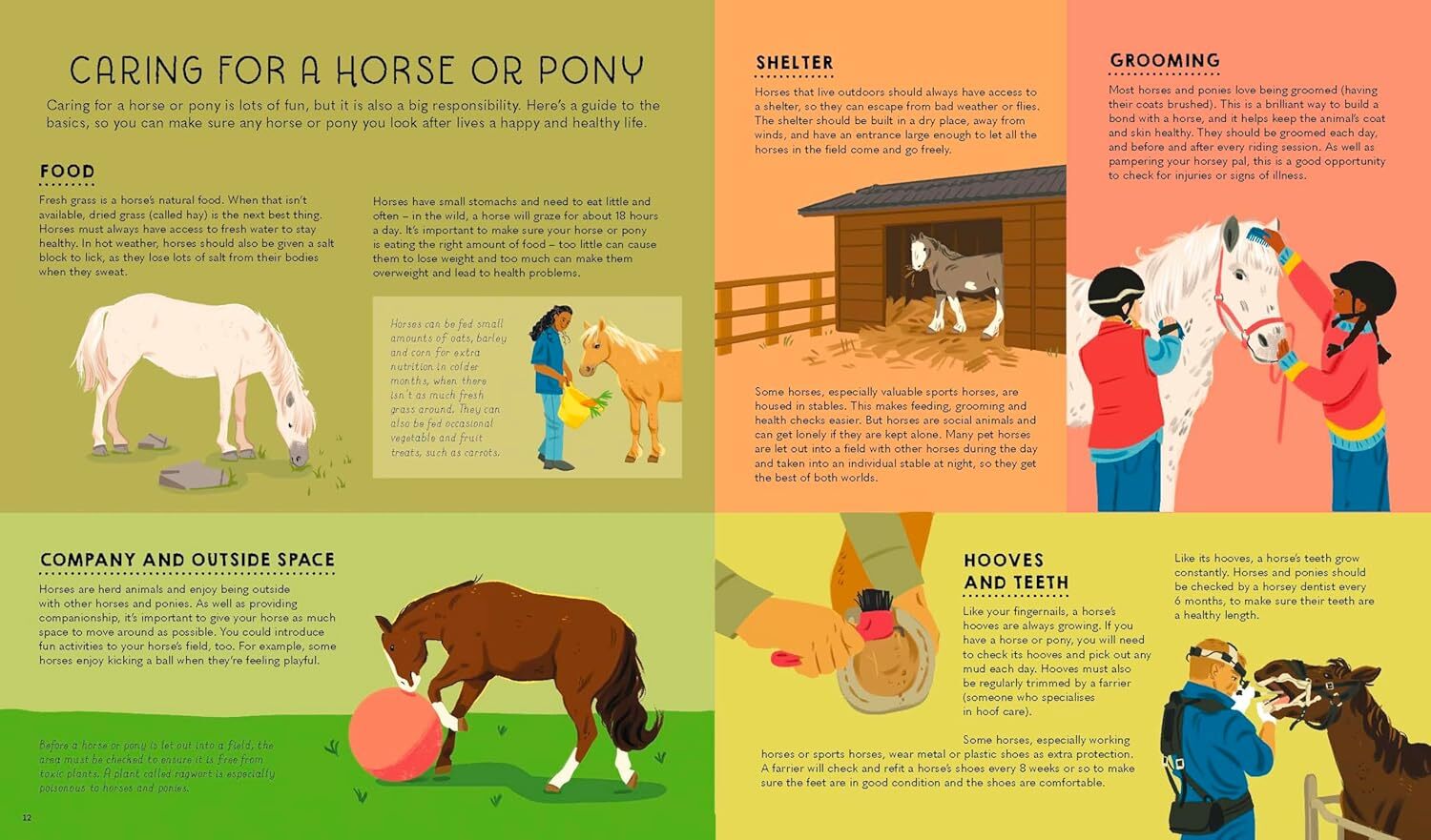 05_Atlas of Horses and Ponies