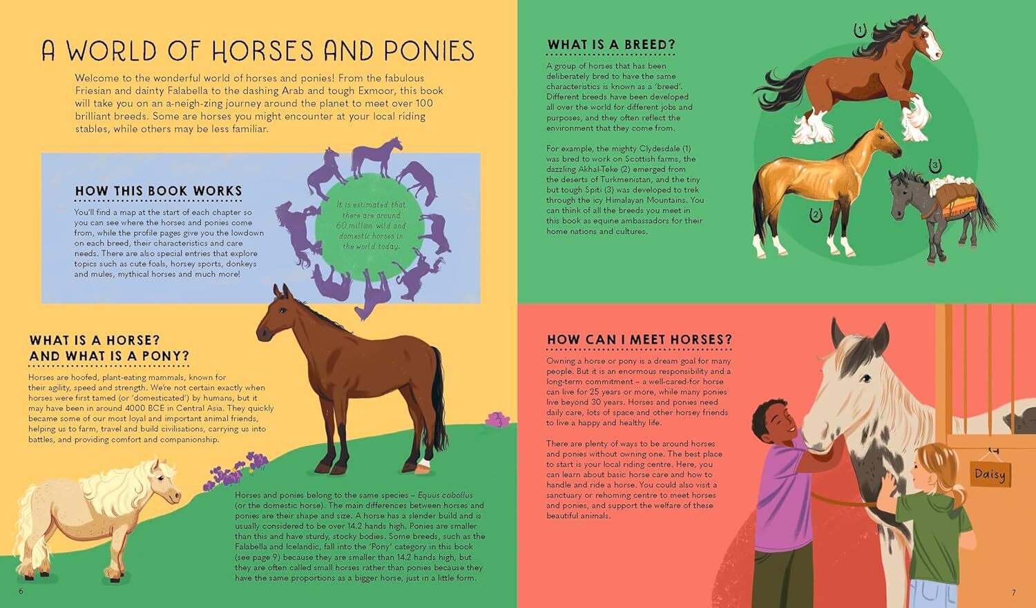 03_Atlas of Horses and Ponies