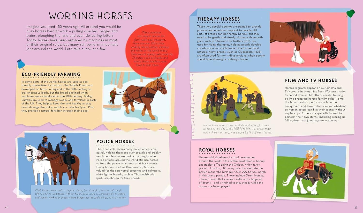 08_Atlas of Horses and Ponies