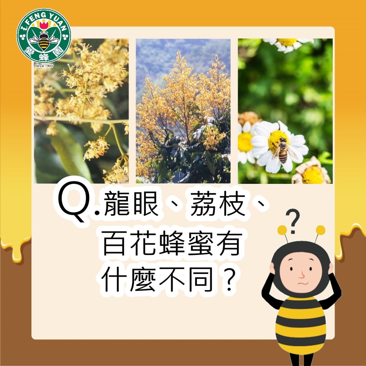 【愛蜂園小學堂】龍眼、荔枝、百花蜂蜜有什麼不同？