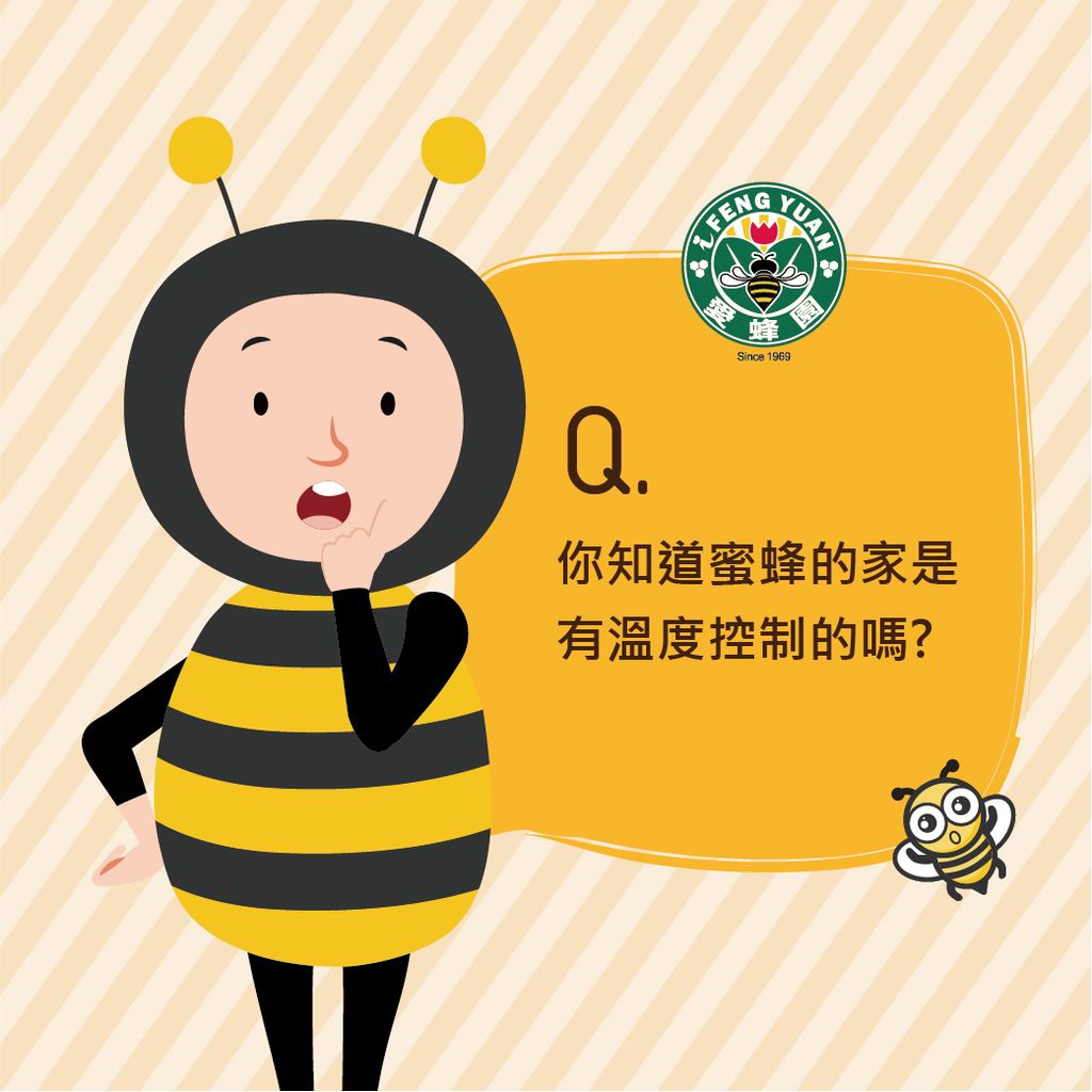 【愛蜂園小學堂】你知道小蜜蜂的家是有"溫控"的嗎?