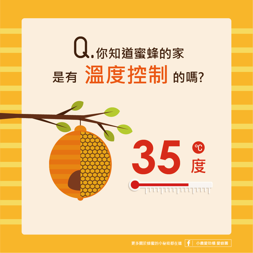 QA-蜜蜂-22.jpg