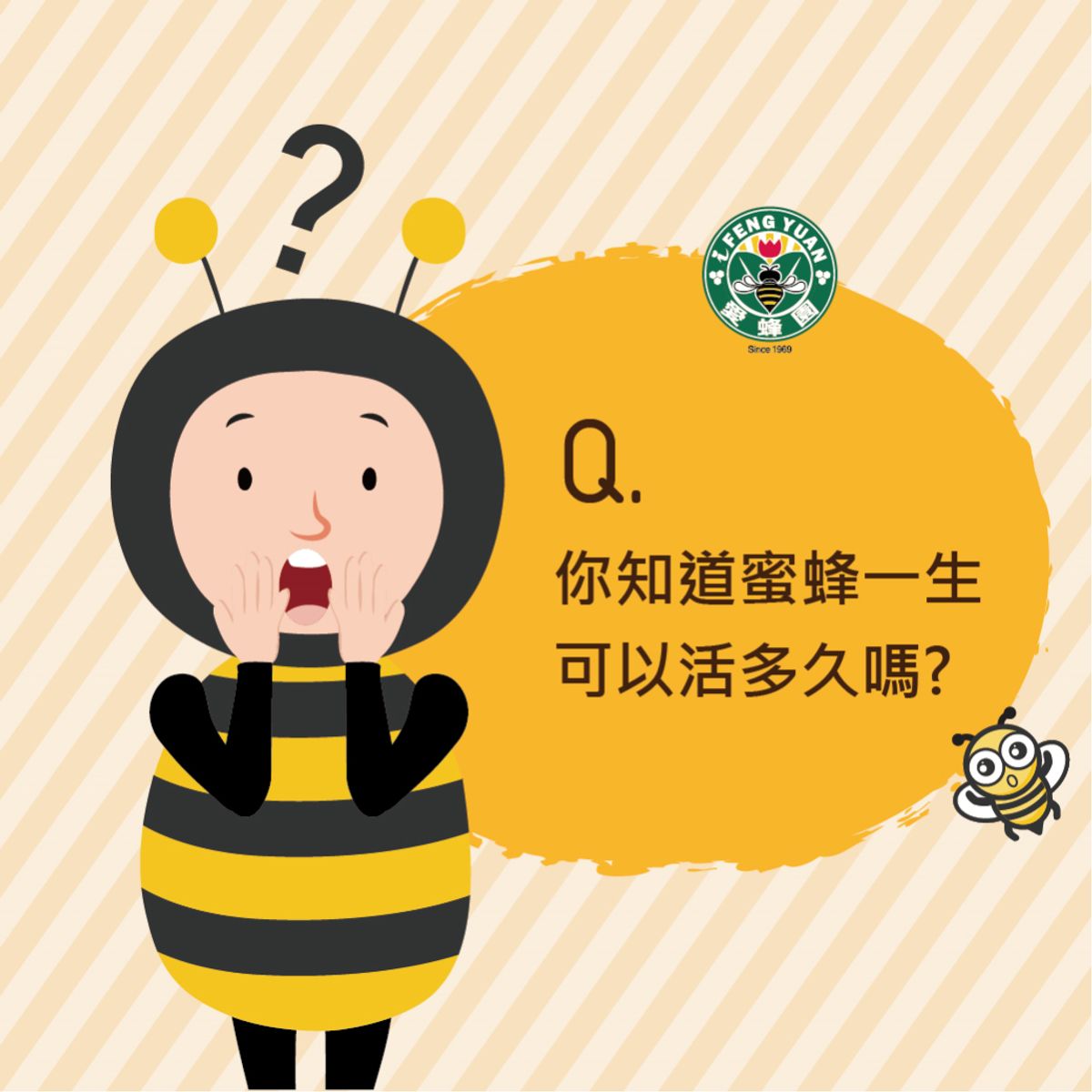 【愛蜂園小學堂】你知道蜜蜂一生可以活多久嗎？