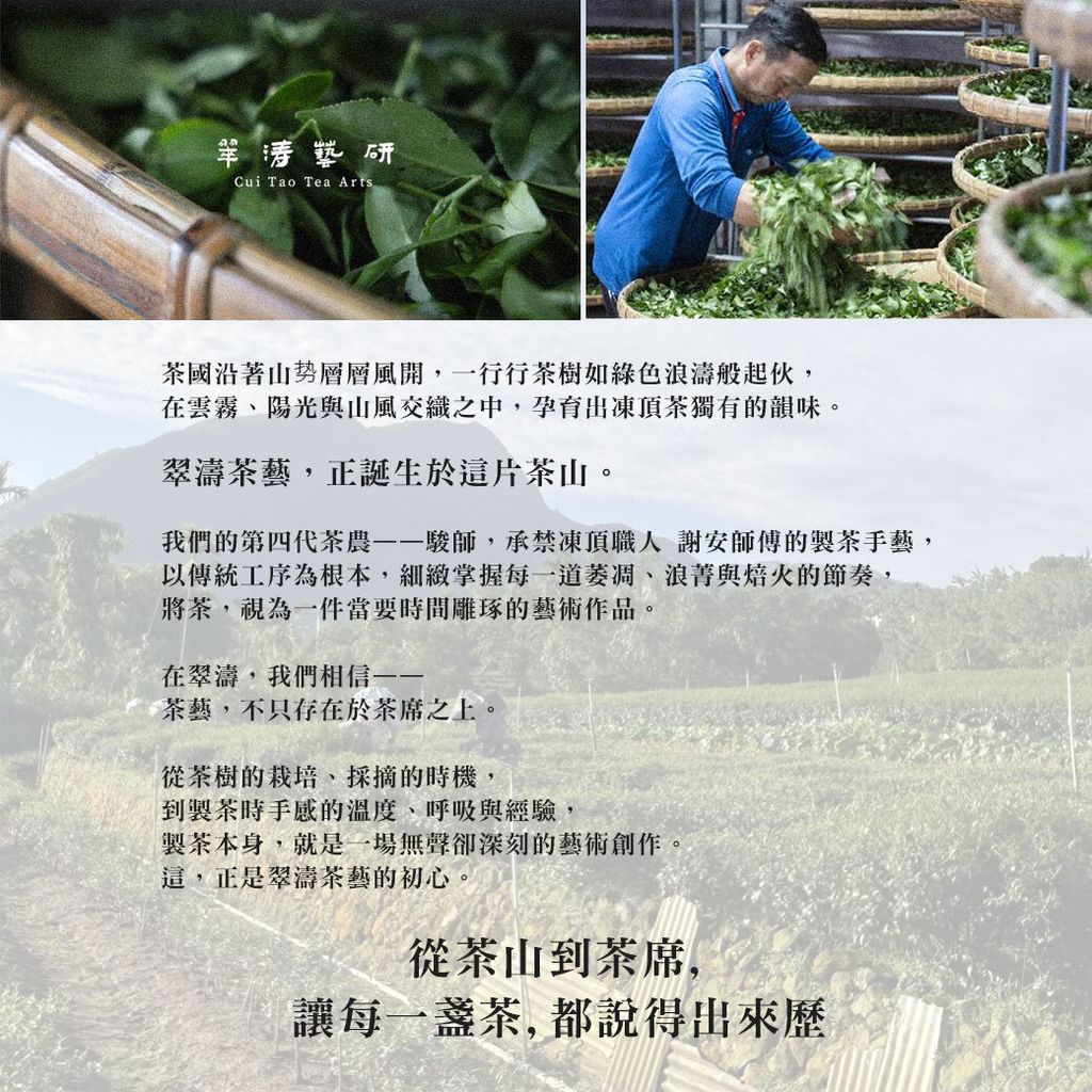 翠濤茶藝_品牌DM-2