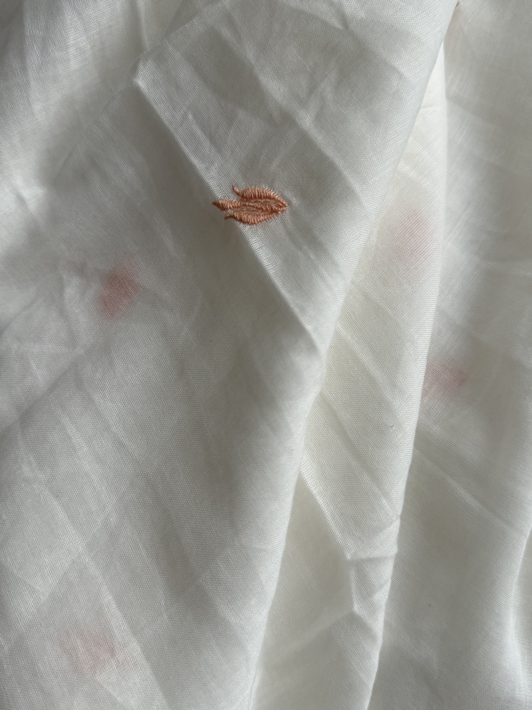 image_ACD69C78-80F9-4A1D-9C15-391DCCF77924_1772544567