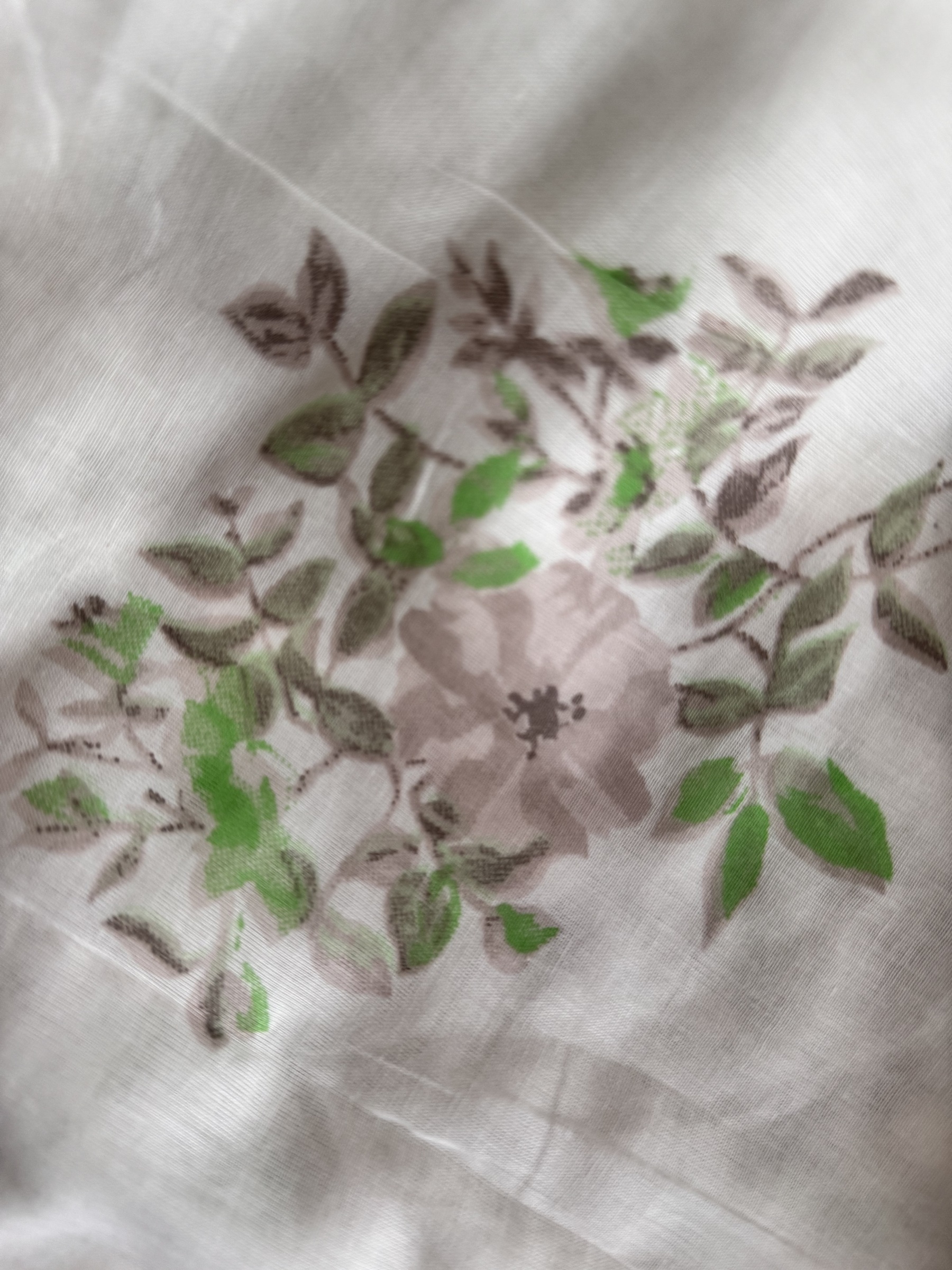 image_5A05D113-6527-4C26-9B62-C256B13A9DB3_1784273394