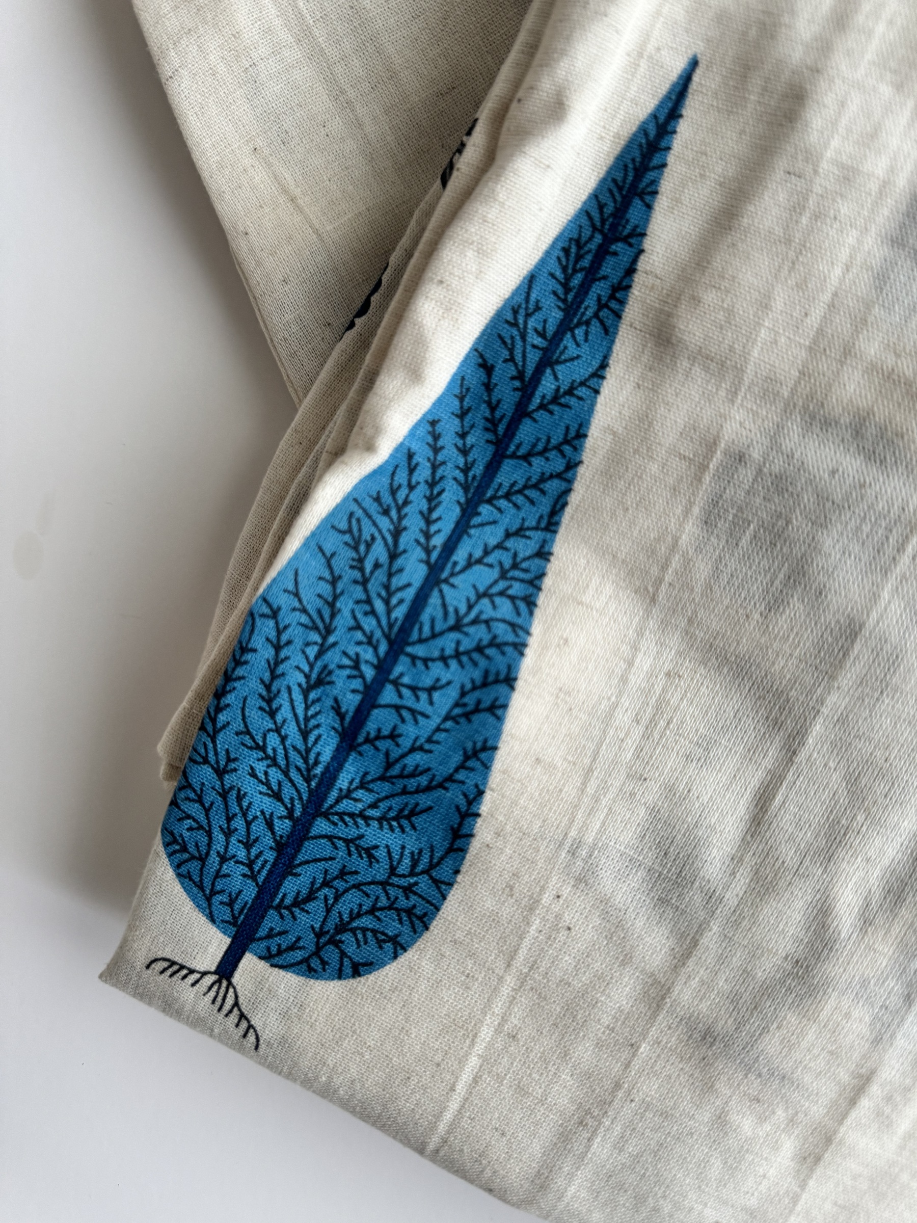 image_BDD55807-8DE8-40FC-A156-B5DBC0767FE1_1752567223