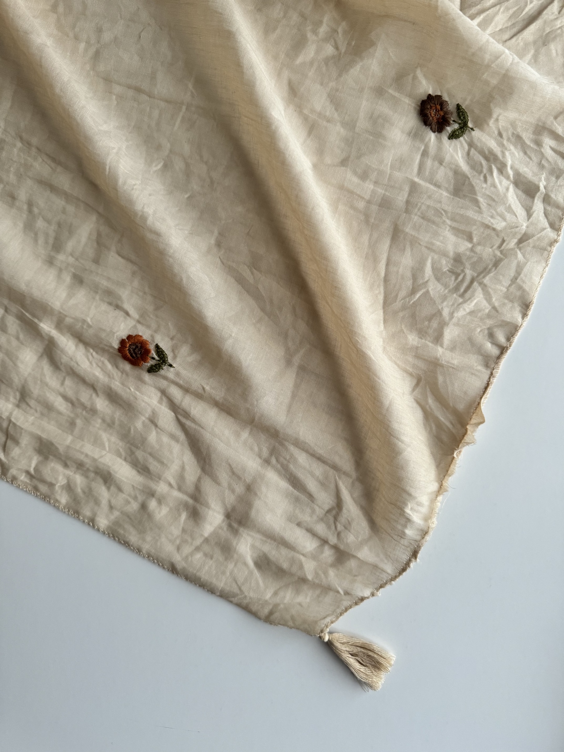 image_660B2E0F-DEAF-4809-BF88-DFF723D3610A_1753706122