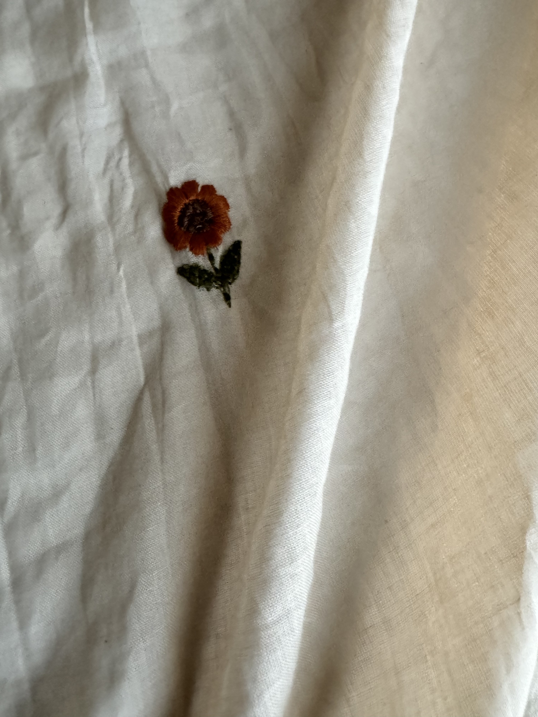 image_1BCEF6B5-B391-4D2B-8984-8CD25F3F530E_1753706122