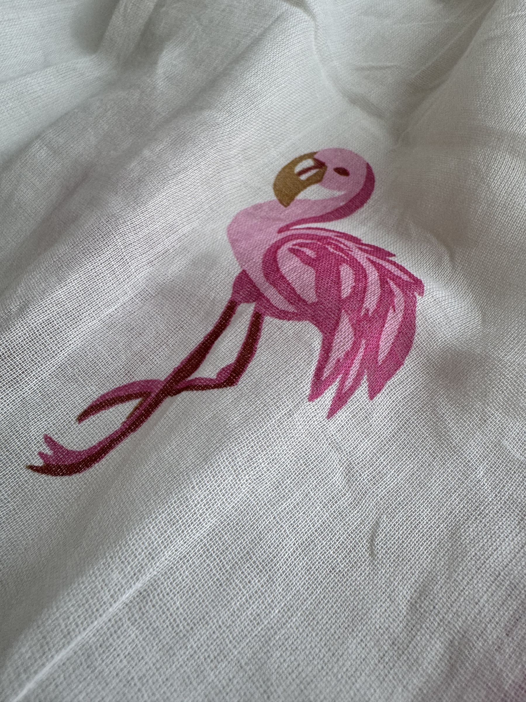 image_3DAB8366-2D73-4FCA-8ED6-10DC8D2E3BB3_1755601270