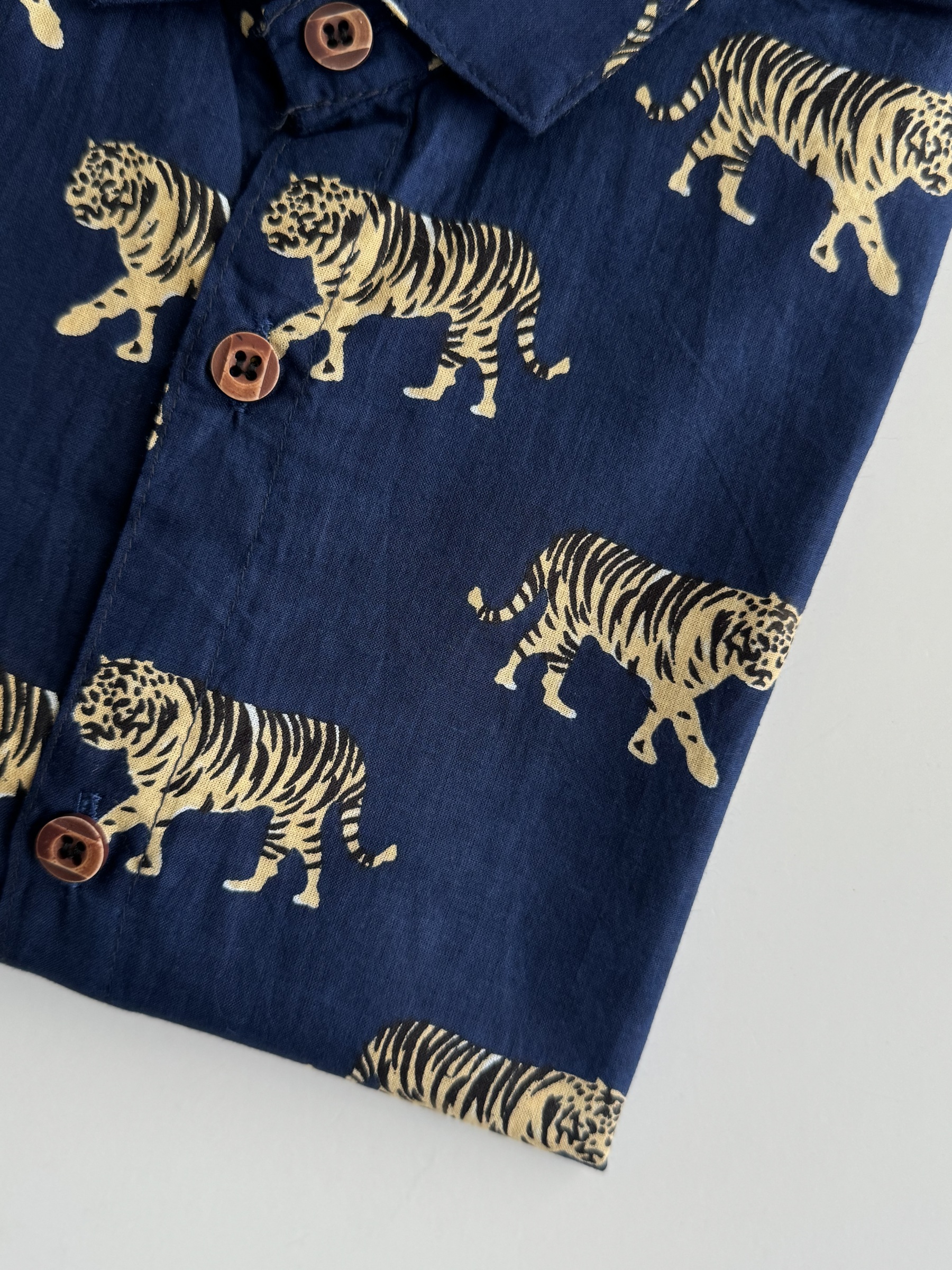 image_3A76DCFE-7B78-4073-9C3B-0695881D6C85_1759139315