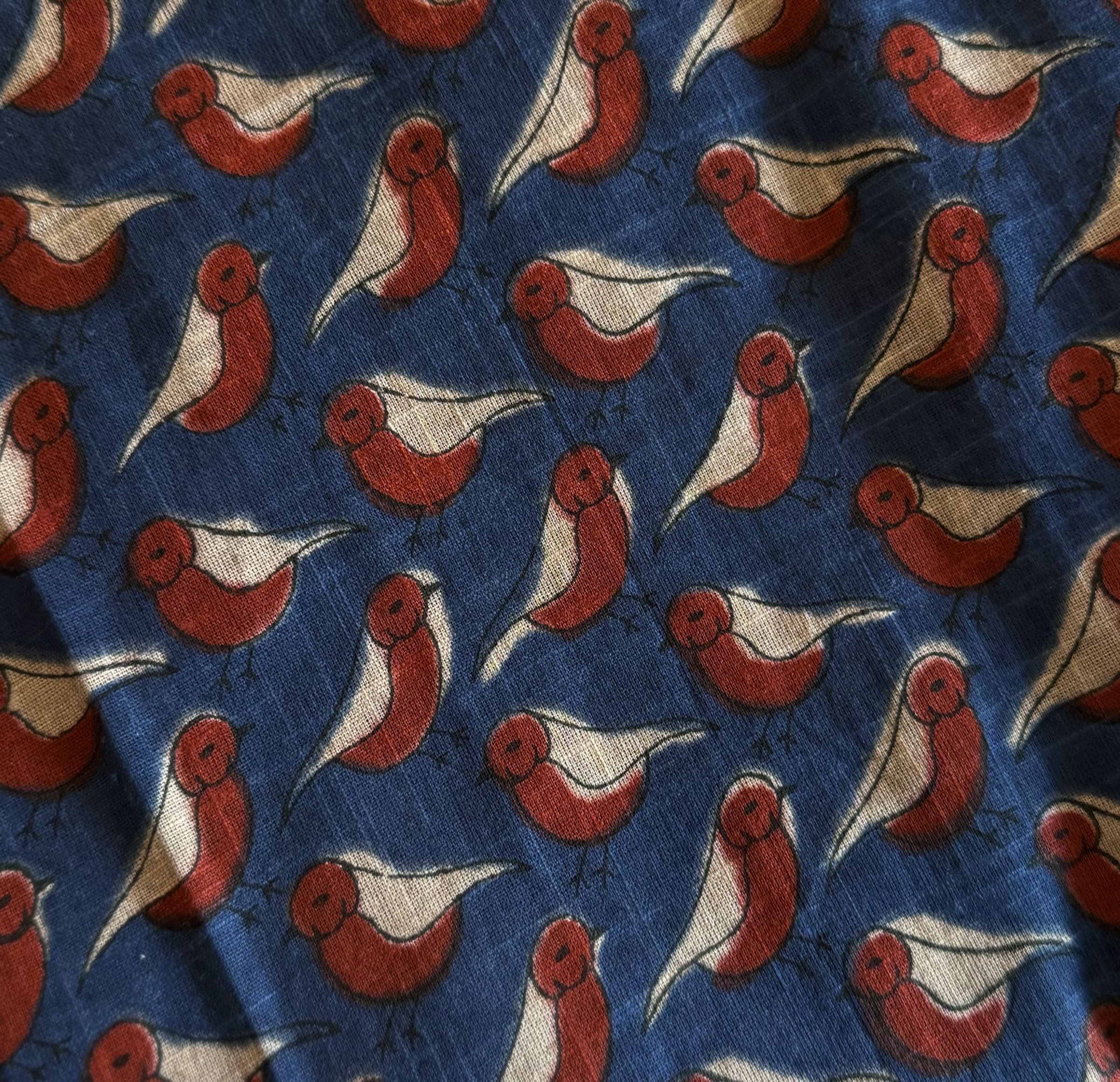 image_02E4021C-64FB-4315-A3F9-F5076A8FBD1D_1762479103