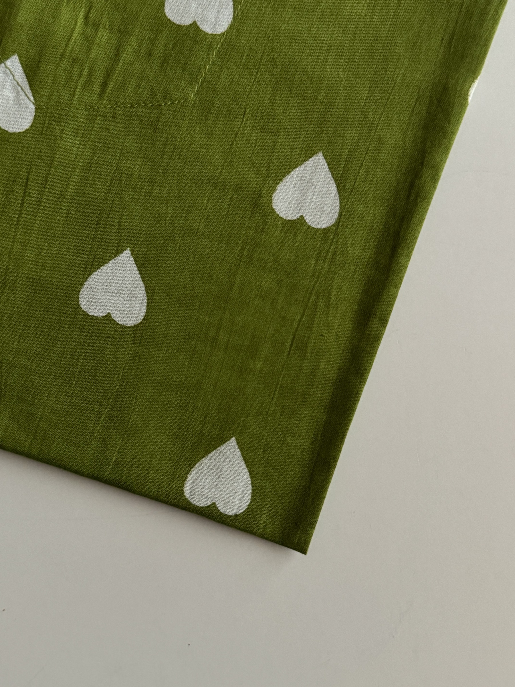 image_3DBBE738-726F-4357-9FD7-9EB4258ADDD4_1766055782