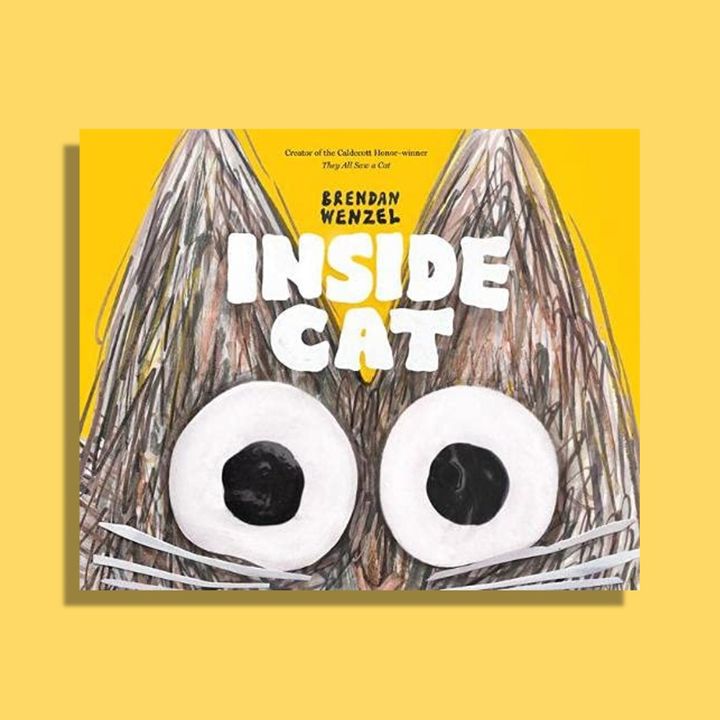 inside cat 800.jpg