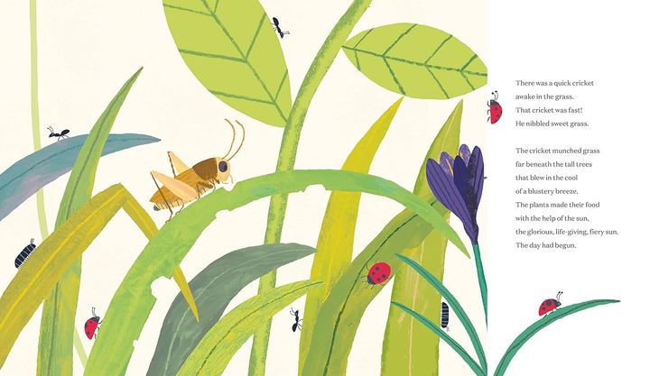 71OADXyus2L._SL1500_