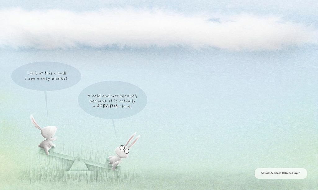 81Q4vNoiBtL._SL1500_