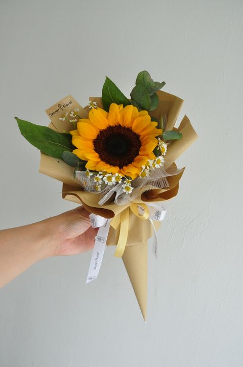 Sunflower in Cone (2).JPG