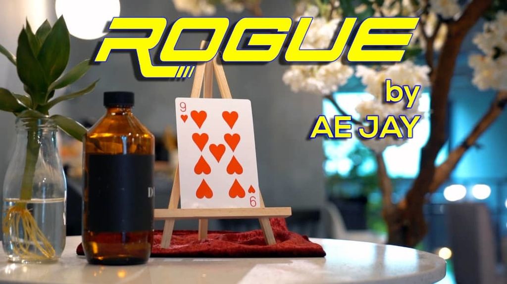 ROGUE photo.jpeg