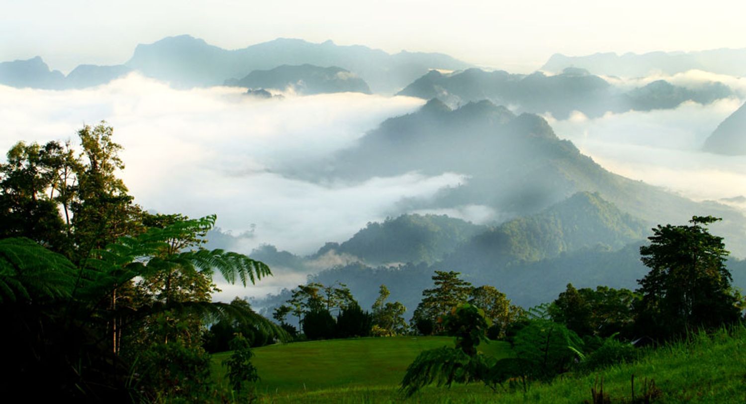 BORNEONATIVE™ - Pride of Borneo! | Sign Up : Join the Borneo Family