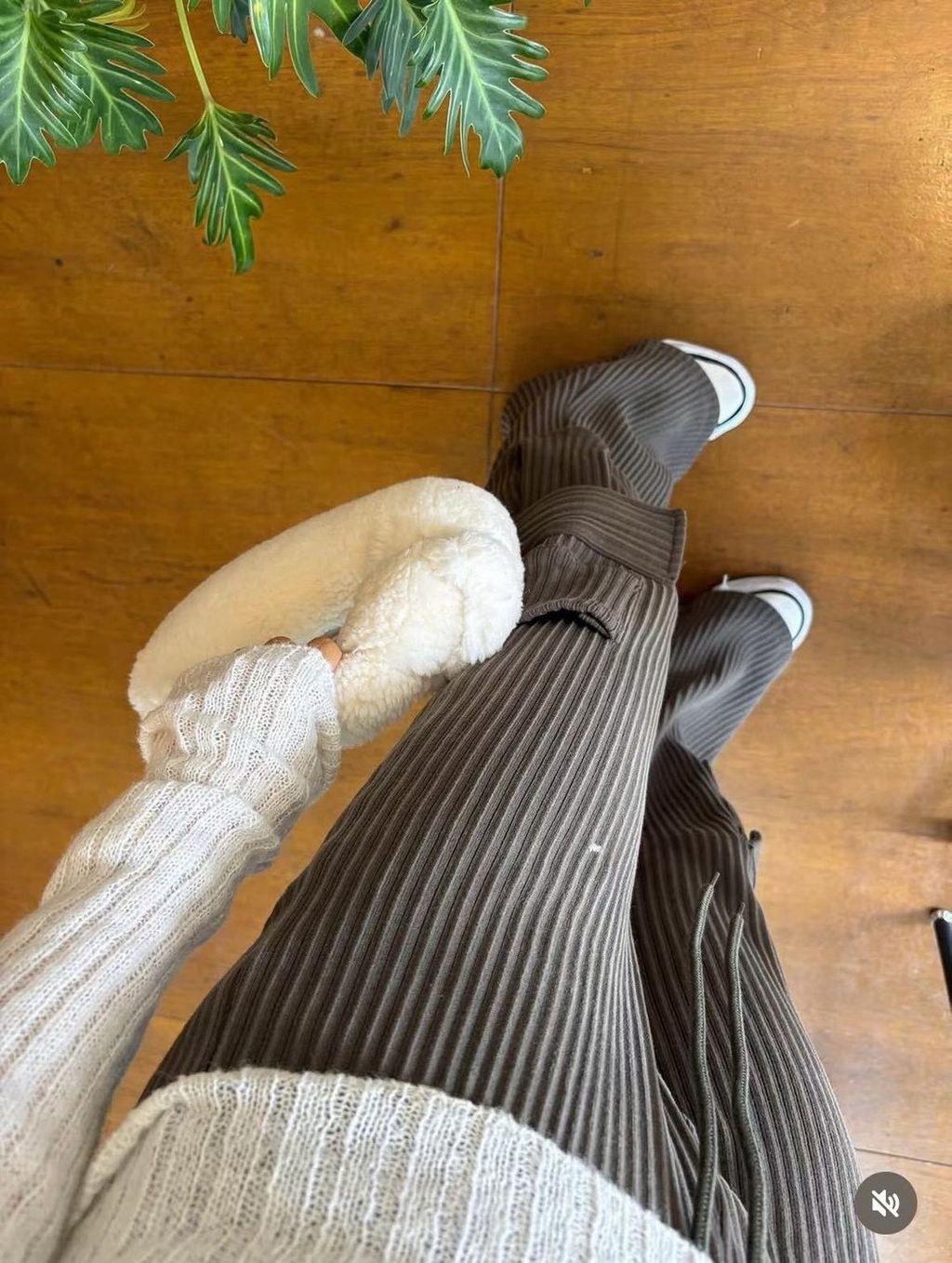 image_94298735-233C-4C83-9618-BE85D1306536_1762494564