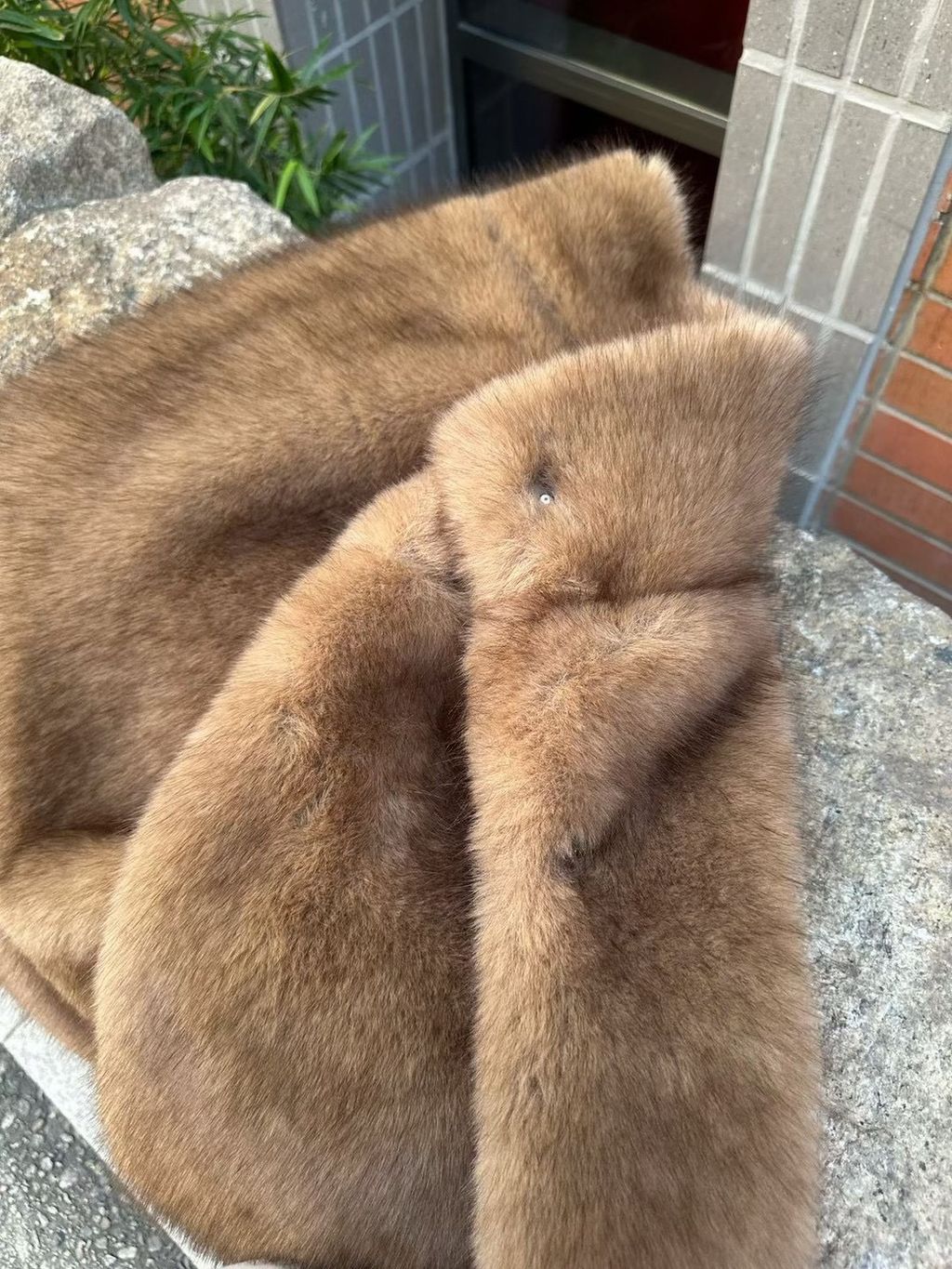 image_58EFD620-0777-40A4-9106-186B79F6DA1F_1764000020