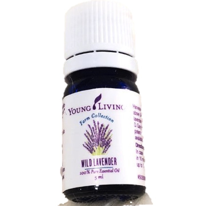 Wild Lavender.jpg