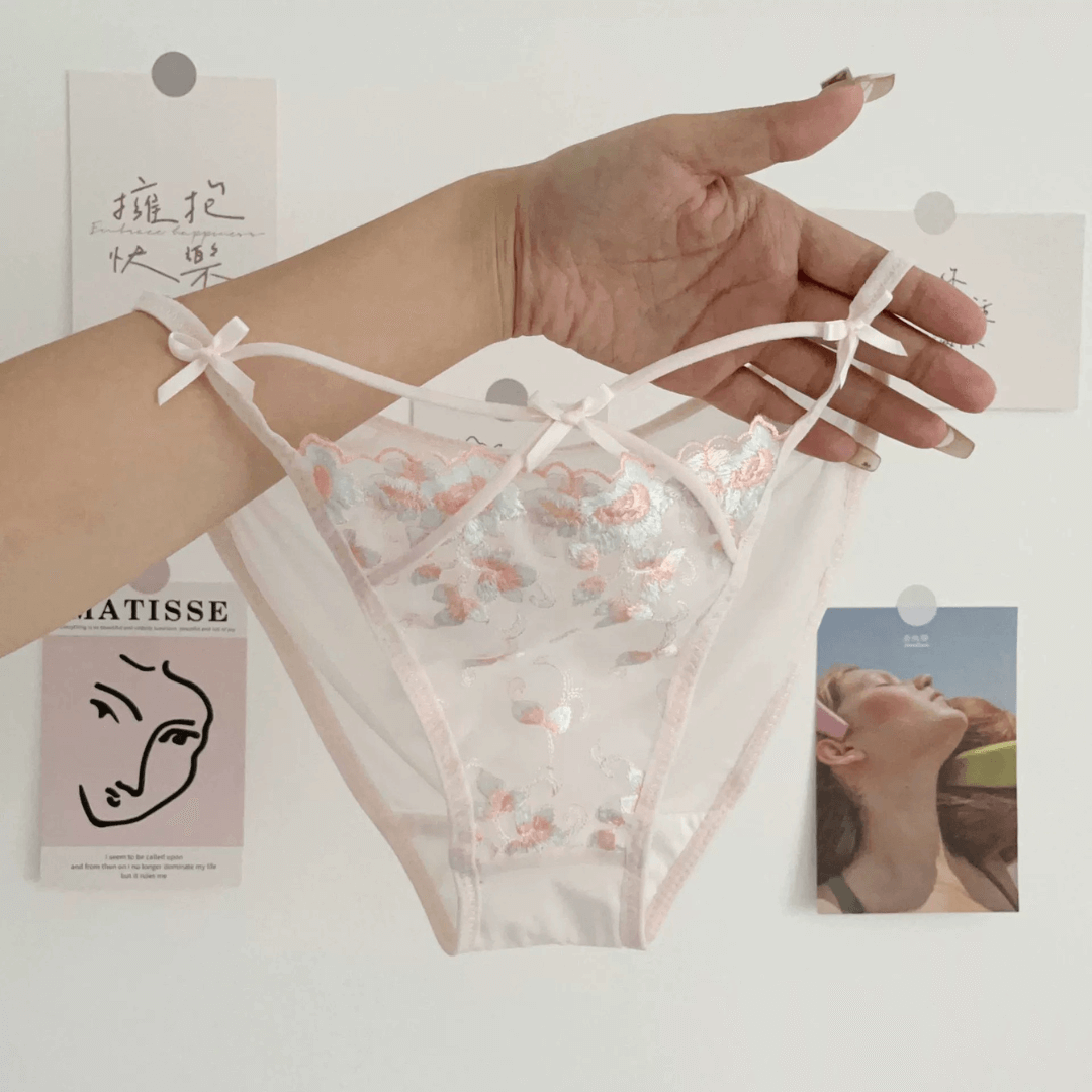 Embroidered Lace Panty, Sexy Panties, Sexy Lingerie Malaysia, Sexy Lingerie Singapore (2)