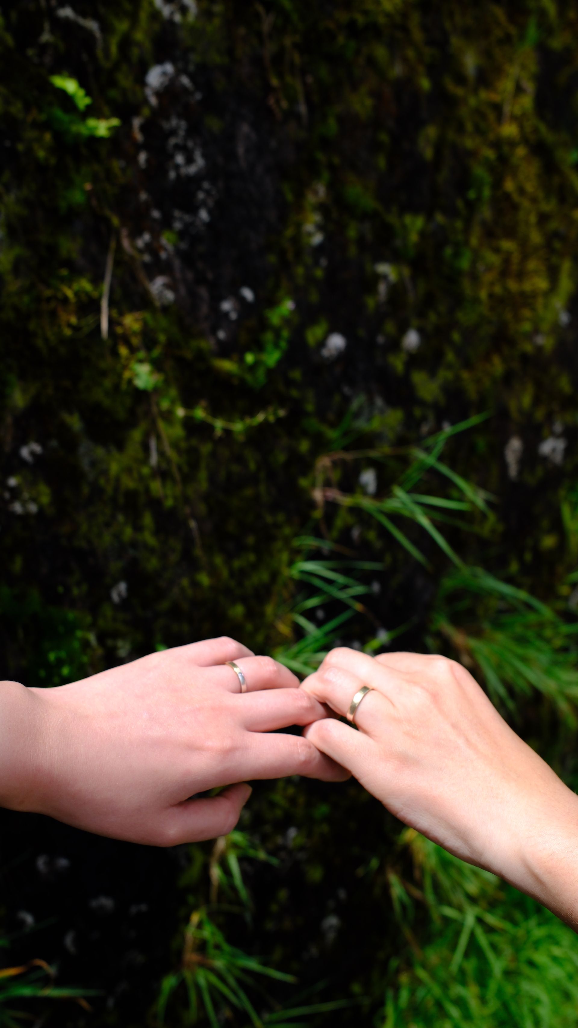 EMMPTYFOREST  | Brighten your day | 