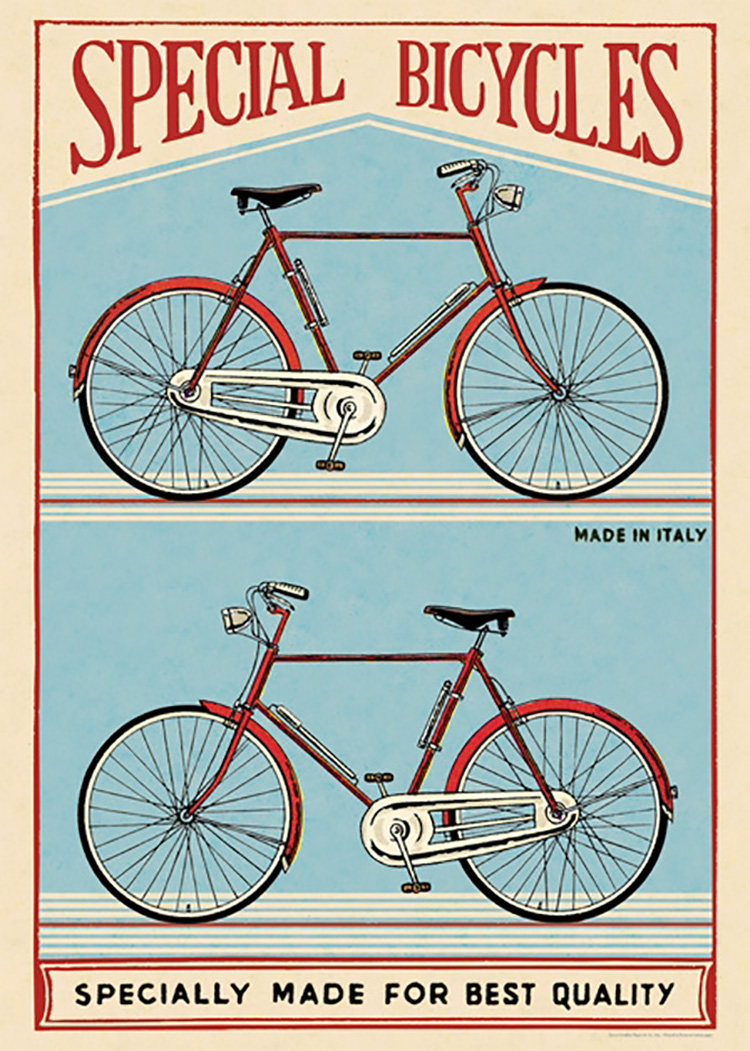 兩台腳踏車.jpg