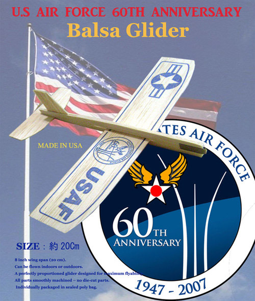 USA AIR60th紀念飛機 (2).jpg
