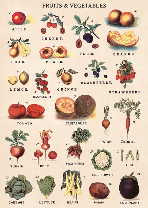 水果蔬菜2.jpg