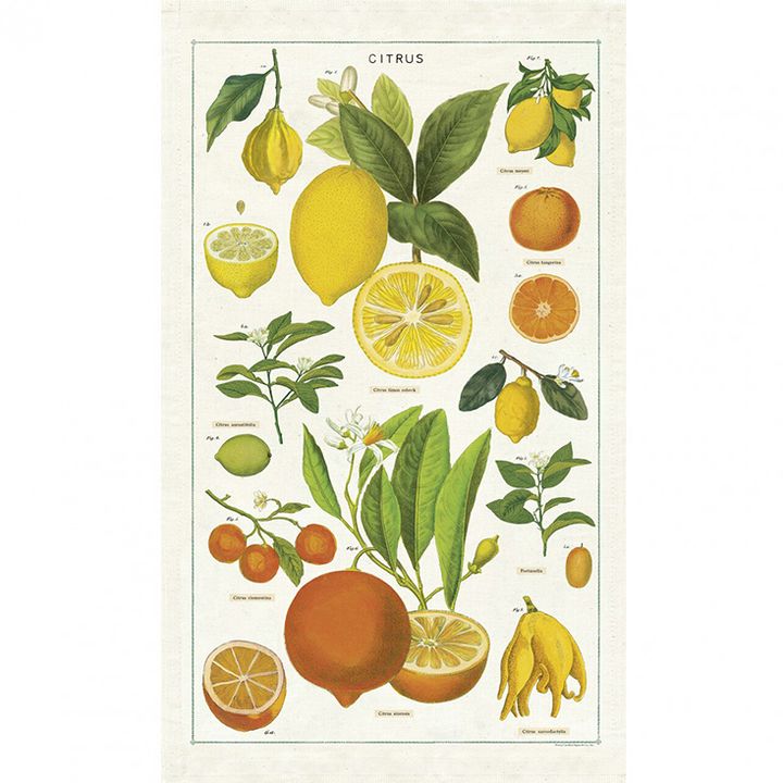 TT_CITRUS-SMALL__94060.1582212020.1280.1280.jpg