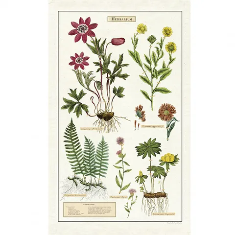 TT_HERB-small__19603.1587218909.1280.1280.jpg