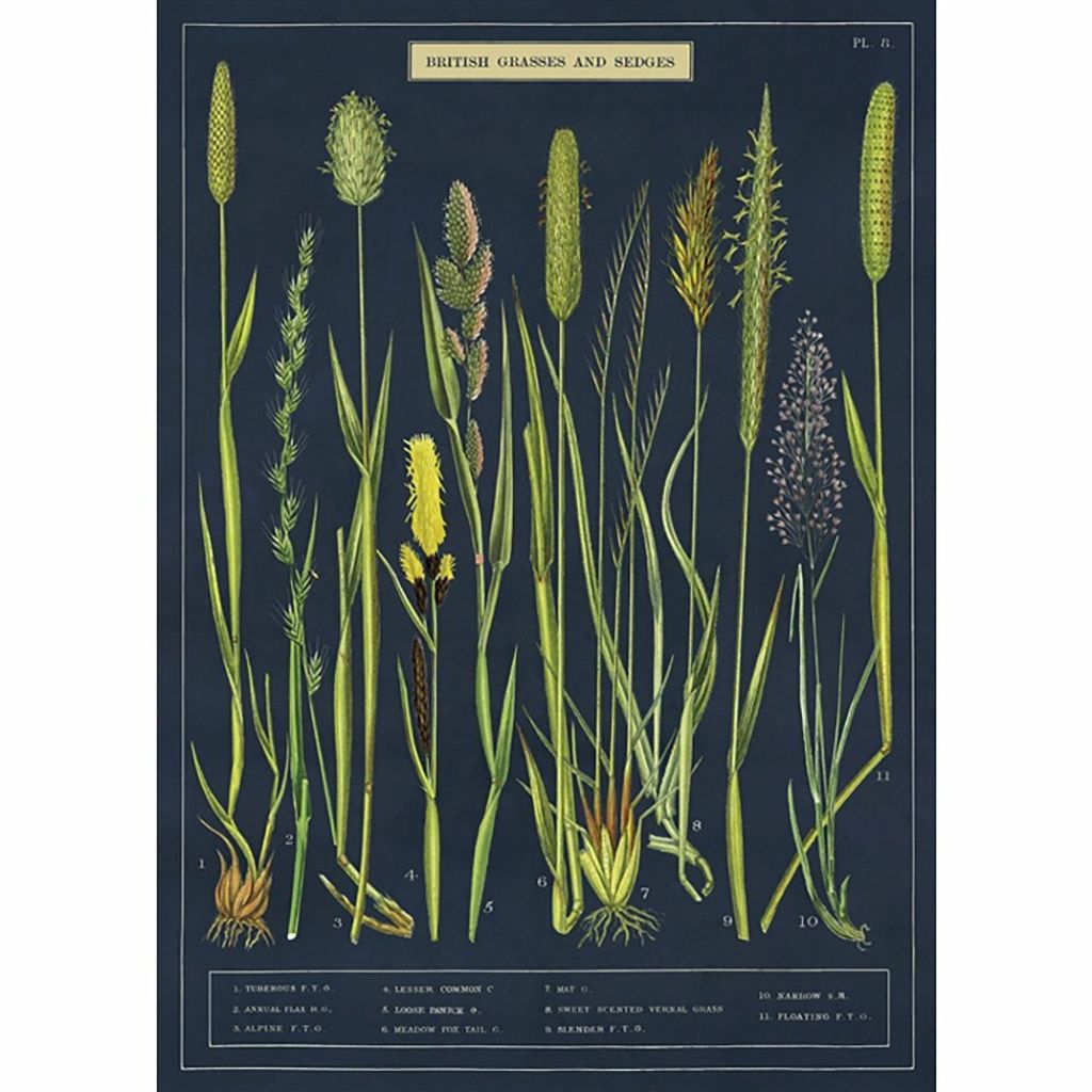 Grasses Poster Wrap image.jpg