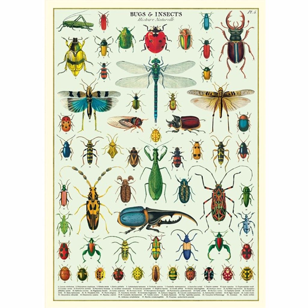 cavallini-poster-wrap-sheet-bugs-insects.jpg