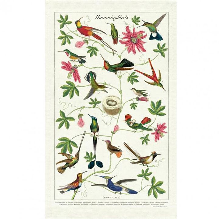 hummingbird-tea-towel-cavallini-museum-outlets.jpeg