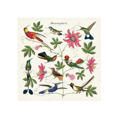 hummingbirds-cotton-dinner-napkins-cavallini-museum-outlets.jpeg