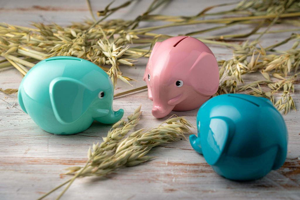 3-elephants-092019_lowr