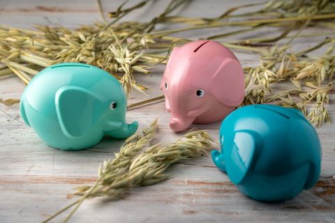 3-elephants-092019_lowr