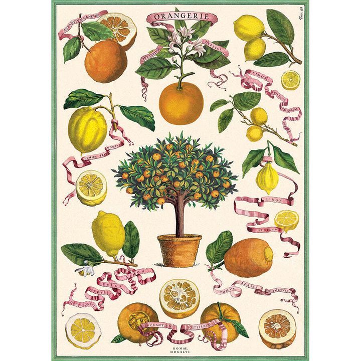 3922698000009342556_L_Orangerie_20-_20Cavallini_20Poster_20Wrap