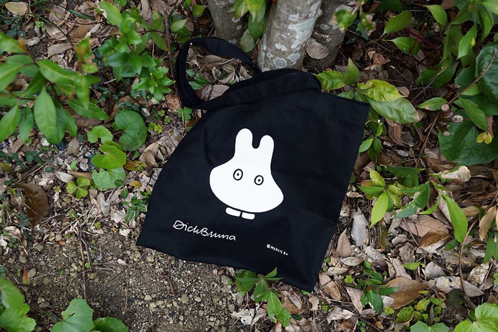 fe4311_bef1141a7dad4cd2a620af222e091611~mv2