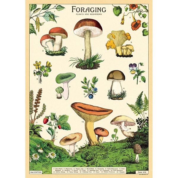 wrap_forage_n