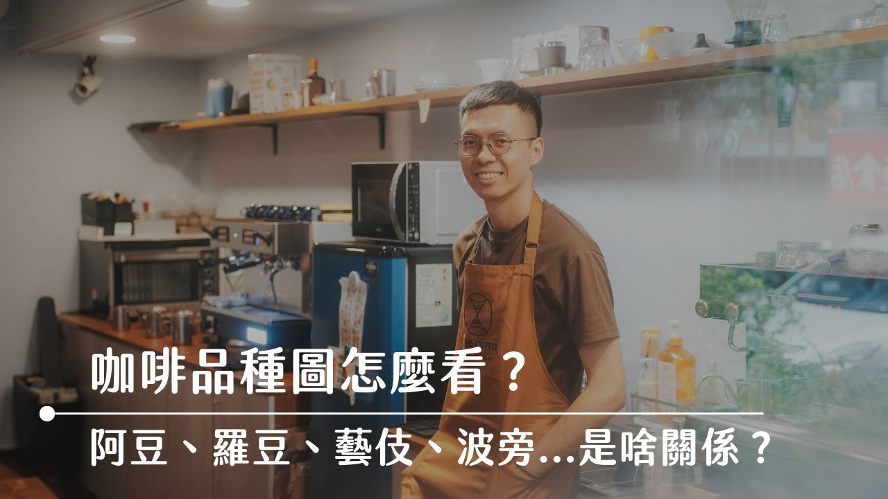 咖啡品種圖怎麼看？看懂咖啡品種圖的入門知識！讓安老闆來告訴你！