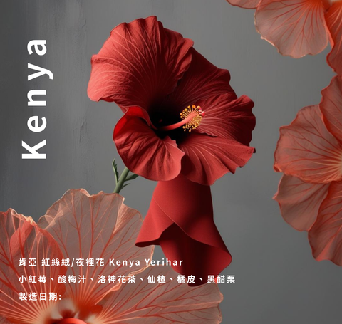 肯亞 紅絲絨夜裡花 Kenya Yerihar 