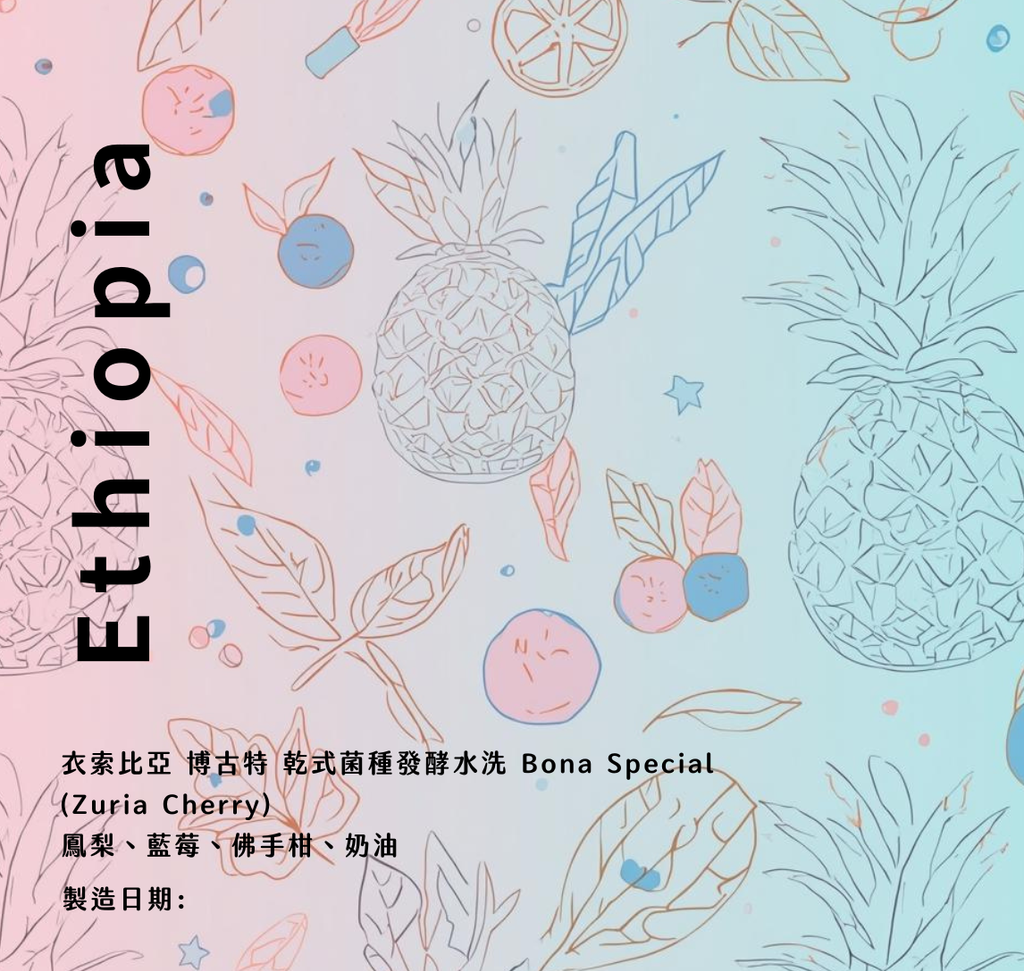 衣索比亞 博古特 乾式菌種發酵水洗 