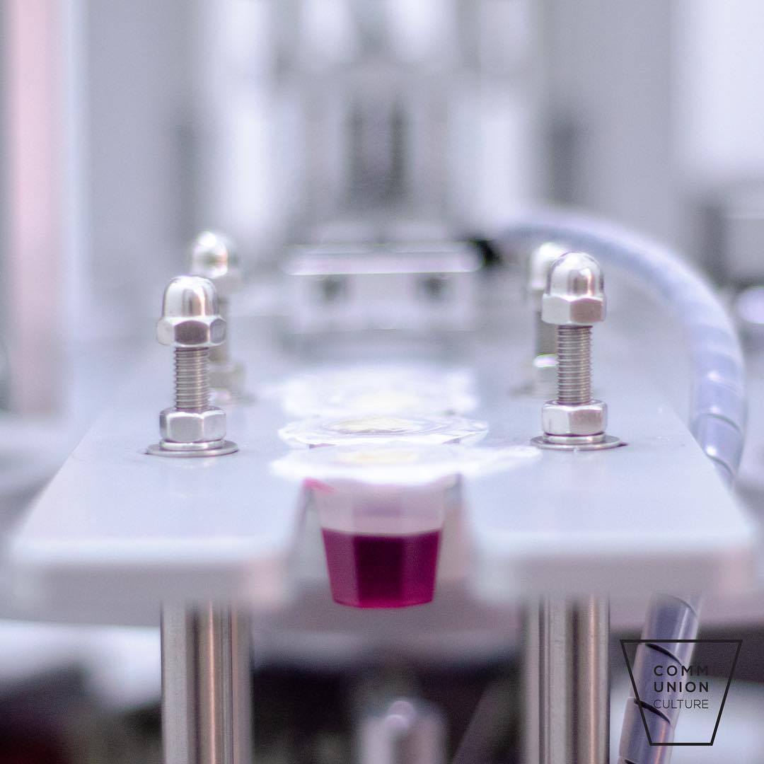 33745952_2530950467129561_5632221435377221632_n 33745952_2530950467129561_5632221435377221632_n