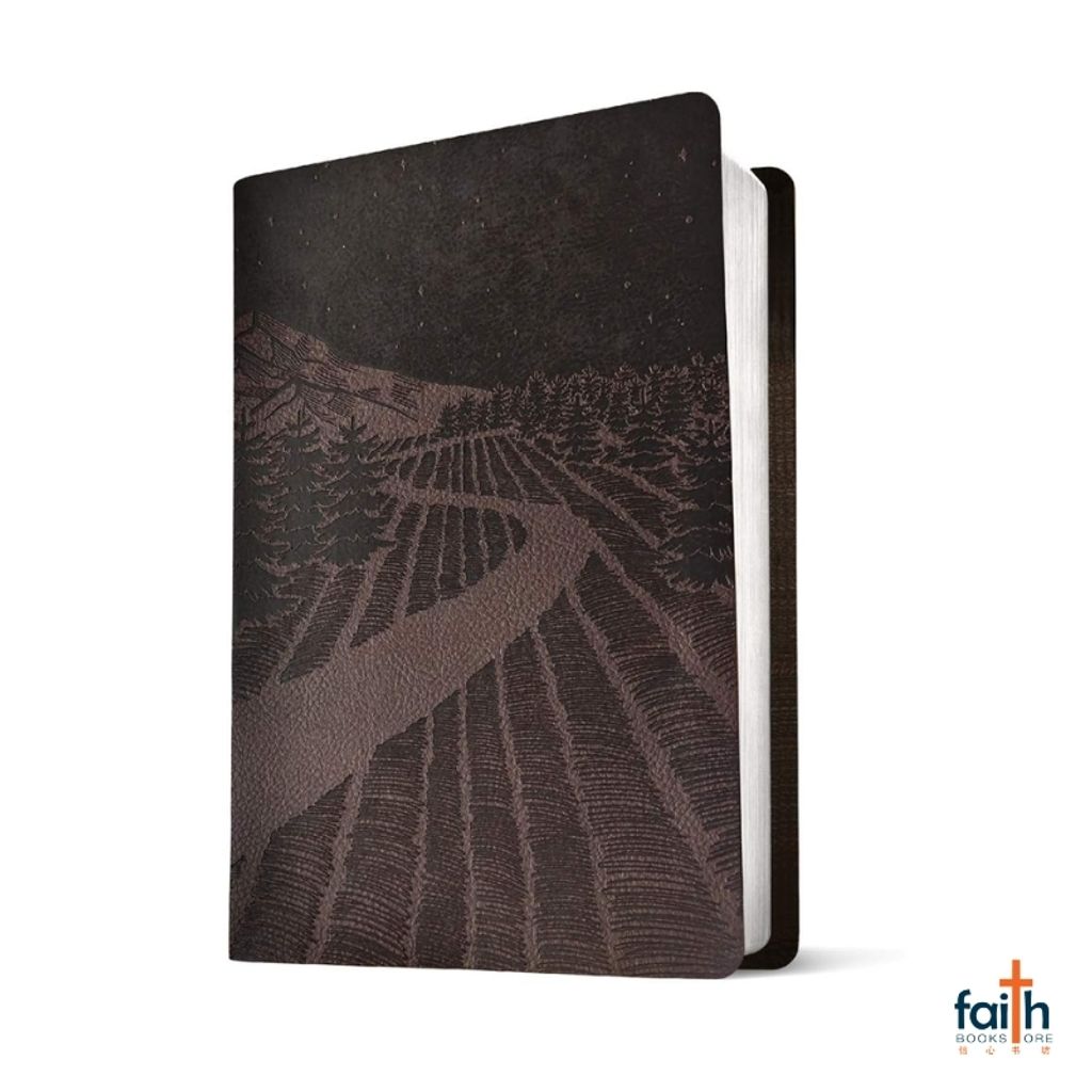 malaysia-online-christian-bookstore-faith-book-store-english-holy-bible-new-living-translation-nlt-premium-gift-bible-brown-starlight-path-leatherlike-filament-enabled-red-letter-tyndale-9781496489838-4