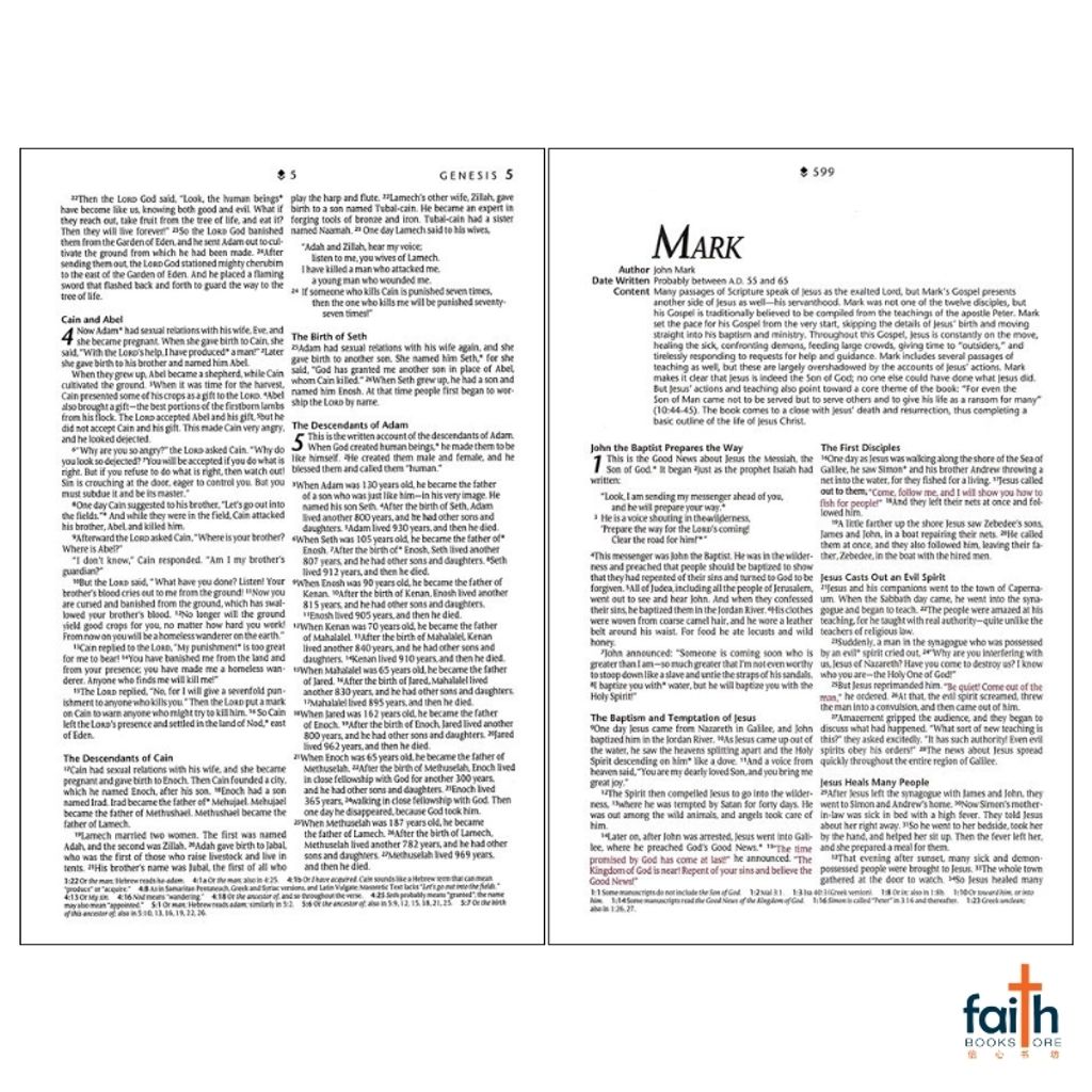 malaysia-online-christian-bookstore-faith-book-store-english-holy-bible-new-living-translation-nlt-premium-gift-bible-brown-starlight-path-leatherlike-filament-enabled-red-letter-tyndale-9781496489838-7
